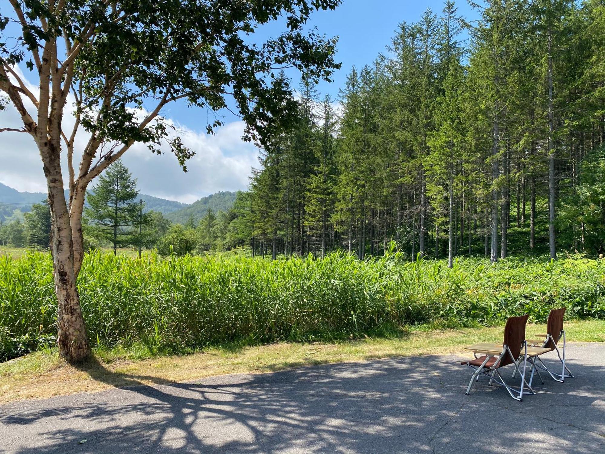 Sachinoyu Hotel Shiga Kogen Yamanouchi  Exterior foto